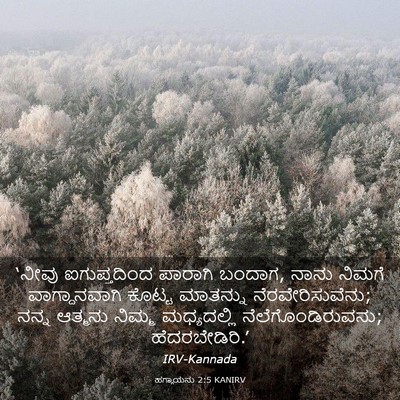 Picture 03 - ಹಗ್ಗಾಯನು 2:5 KANIRV - ‘ನೀವು ಐಗುಪ್ತದಿಂದ - Bible Verse Picture