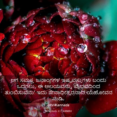 Picture 03 - ಹಗ್ಗಾಯನು 2:7 KANIRV - ಆಗ ಸಮಸ್ತ ಜನಾಂಗಗಳ - Bible Verse Picture