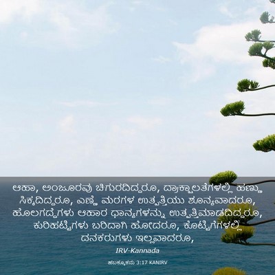 Picture 03 - ಹಬಕ್ಕೂಕನು 3:17 KANIRV - ಆಹಾ, ಅಂಜೂರವು - Bible Verse Picture