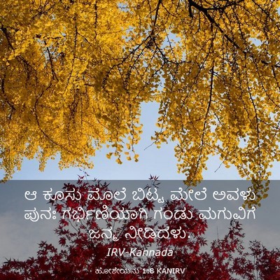 Picture 03 - ಹೋಶೇಯನು 1:8 KANIRV - ಆ ಕೂಸು ಮೊಲೆ ಬಿಟ್ಟ - Bible Verse Picture