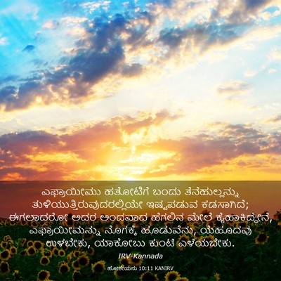 Picture 03 - ಹೋಶೇಯನು 10:11 KANIRV - ಎಫ್ರಾಯೀಮು ಹತೋಟಿಗೆ - Bible Verse Picture