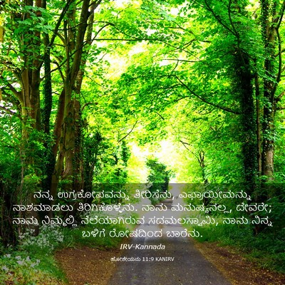 Picture 03 - ಹೋಶೇಯನು 11:9 KANIRV - ನನ್ನ ಉಗ್ರಕೋಪವನ್ನು - Bible Verse Picture