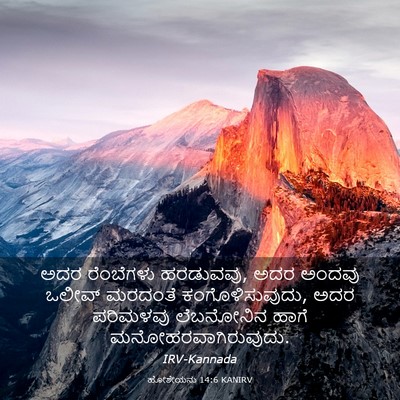 Picture 03 - ಹೋಶೇಯನು 14:6 KANIRV - ಅದರ ರೆಂಬೆಗಳು - Bible Verse Picture