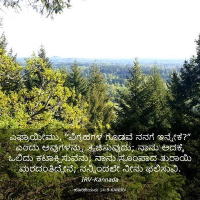Picture 03 - ಹೋಶೇಯನು 14:8 KANIRV - ಎಫ್ರಾಯೀಮು, - Bible Verse Picture