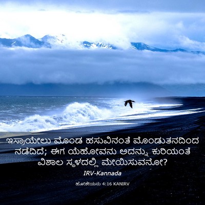 Picture 03 - ಹೋಶೇಯನು 4:16 KANIRV - ಇಸ್ರಾಯೇಲು ಮೊಂಡ - Bible Verse Picture