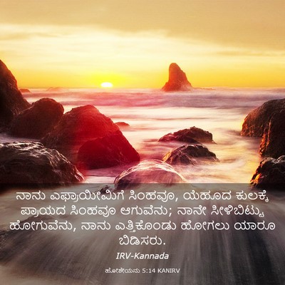 Picture 03 - ಹೋಶೇಯನು 5:14 KANIRV - ನಾನು ಎಫ್ರಾಯೀಮಿಗೆ - Bible Verse Picture