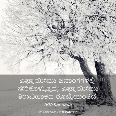 Picture 03 - ಹೋಶೇಯನು 7:8 KANIRV - ಎಫ್ರಾಯೀಮು - Bible Verse Picture