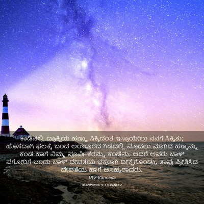 Picture 03 - ಹೋಶೇಯನು 9:10 KANIRV - ಕಾಡಿನಲ್ಲಿ - Bible Verse Picture
