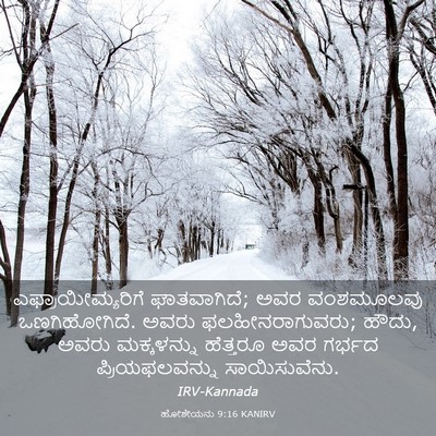 Picture 03 - ಹೋಶೇಯನು 9:16 KANIRV - ಎಫ್ರಾಯೀಮ್ಯರಿಗೆ - Bible Verse Picture