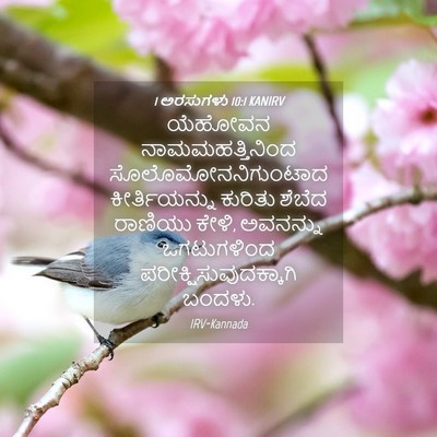 Picture 04 - 1 ಅರಸುಗಳು 10:1 KANIRV - ಯೆಹೋವನ - Bible Verse Picture
