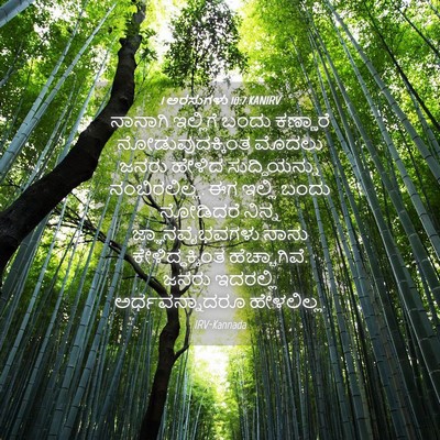 Picture 04 - 1 ಅರಸುಗಳು 10:7 KANIRV - ನಾನಾಗಿ ಇಲ್ಲಿಗೆ - Bible Verse Picture