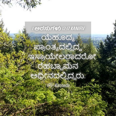 Picture 04 - 1 ಅರಸುಗಳು 12:17 KANIRV - ಯೆಹೂದ್ಯ - Bible Verse Picture