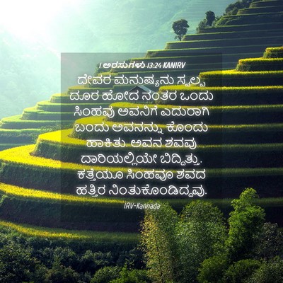 Picture 04 - 1 ಅರಸುಗಳು 13:24 KANIRV - ದೇವರ ಮನುಷ್ಯನು - Bible Verse Picture