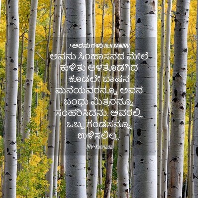 Picture 04 - 1 ಅರಸುಗಳು 16:11 KANIRV - ಅವನು ಸಿಂಹಾಸನದ - Bible Verse Picture