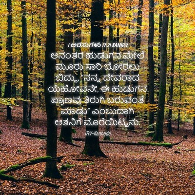 Picture 04 - 1 ಅರಸುಗಳು 17:21 KANIRV - ಆನಂತರ ಹುಡುಗನ ಮೇಲೆ - Bible Verse Picture