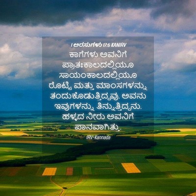 Picture 04 - 1 ಅರಸುಗಳು 17:6 KANIRV - ಕಾಗೆಗಳು ಅವನಿಗೆ - Bible Verse Picture