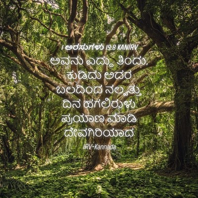 Picture 04 - 1 ಅರಸುಗಳು 19:8 KANIRV - ಅವನು ಎದ್ದು ತಿಂದು, - Bible Verse Picture