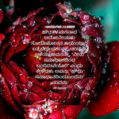 Picture 04 - 1 ಅರಸುಗಳು 2:13 KANIRV - ಹಗ್ಗೀತಳ ಮಗನಾದ - Bible Verse Picture