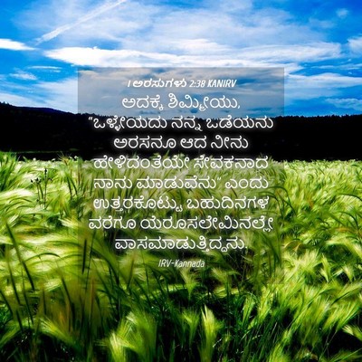 Picture 04 - 1 ಅರಸುಗಳು 2:38 KANIRV - ಅದಕ್ಕೆ ಶಿಮ್ಮೀಯು, - Bible Verse Picture