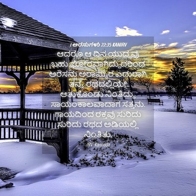 Picture 04 - 1 ಅರಸುಗಳು 22:35 KANIRV - ಆದರೂ ಆ ದಿನ ಯುದ್ಧವು - Bible Verse Picture