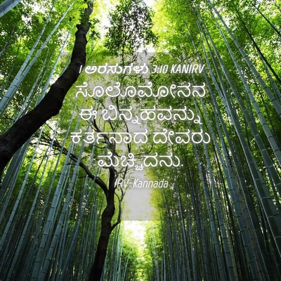 Picture 04 - 1 ಅರಸುಗಳು 3:10 KANIRV - ಸೊಲೊಮೋನನ ಈ - Bible Verse Picture