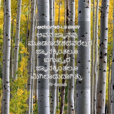 Picture 04 - 1 ಅರಸುಗಳು 4:30 KANIRV - ಅವನ ಜ್ಞಾನವು - Bible Verse Picture