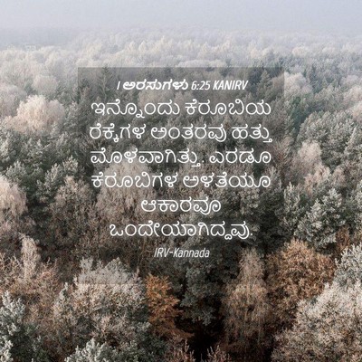 Picture 04 - 1 ಅರಸುಗಳು 6:25 KANIRV - ಇನ್ನೊಂದು ಕೆರೂಬಿಯ - Bible Verse Picture