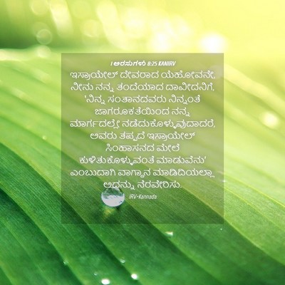 Picture 04 - 1 ಅರಸುಗಳು 8:25 KANIRV - ಇಸ್ರಾಯೇಲ್ ದೇವರಾದ - Bible Verse Picture