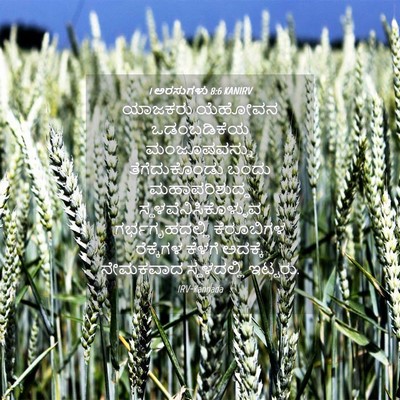 Picture 04 - 1 ಅರಸುಗಳು 8:6 KANIRV - ಯಾಜಕರು ಯೆಹೋವನ - Bible Verse Picture