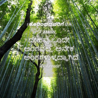 Picture 04 - 1 ಕೊರಿಂಥದವರಿಗೆ 12:14 KANIRV - ದೇಹವು ಒಂದೇ - Bible Verse Picture