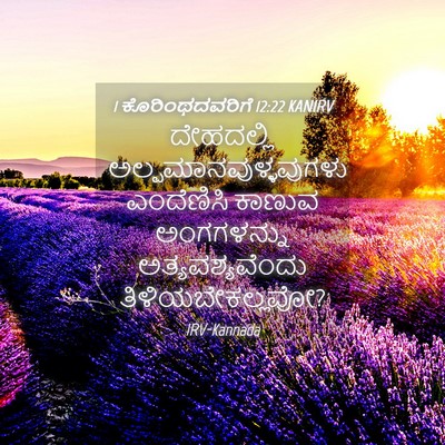 Picture 04 - 1 ಕೊರಿಂಥದವರಿಗೆ 12:22 KANIRV - ದೇಹದಲ್ಲಿ - Bible Verse Picture