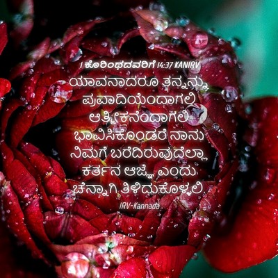 Picture 04 - 1 ಕೊರಿಂಥದವರಿಗೆ 14:37 KANIRV - ಯಾವನಾದರೂ ತನ್ನನ್ನು - Bible Verse Picture