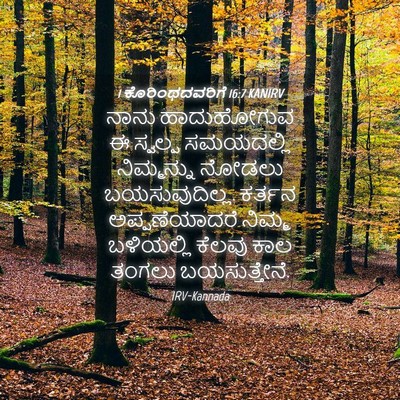 Picture 04 - 1 ಕೊರಿಂಥದವರಿಗೆ 16:7 KANIRV - ನಾನು ಹಾದುಹೋಗುವ ಈ - Bible Verse Picture
