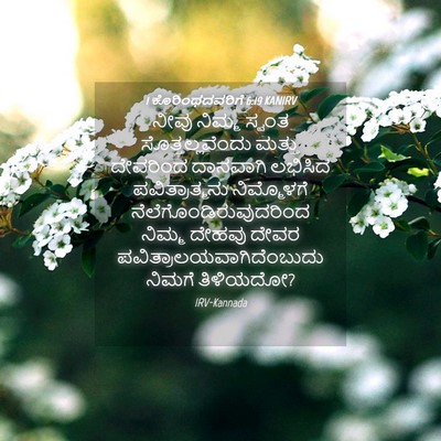Picture 04 - 1 ಕೊರಿಂಥದವರಿಗೆ 6:19 KANIRV - ನೀವು ನಿಮ್ಮ ಸ್ವಂತ - Bible Verse Picture