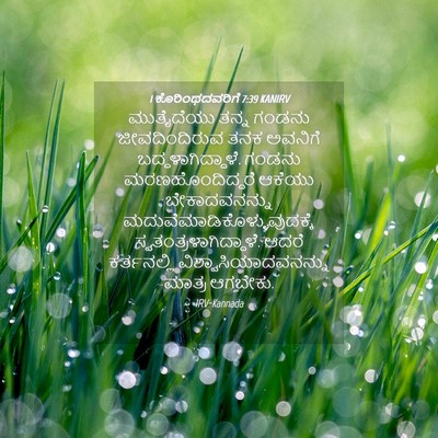 Picture 04 - 1 ಕೊರಿಂಥದವರಿಗೆ 7:39 KANIRV - ಮುತೈದೆಯು ತನ್ನ - Bible Verse Picture