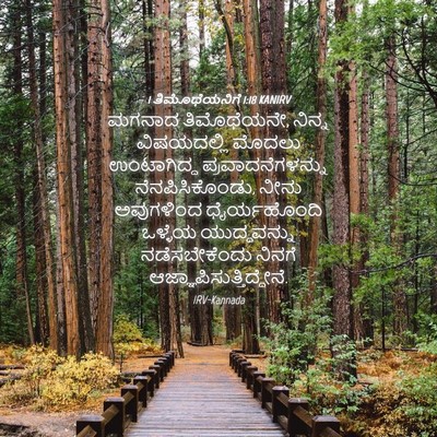 Picture 04 - 1 ತಿಮೊಥೆಯನಿಗೆ 1:18 KANIRV - ಮಗನಾದ ತಿಮೊಥೆಯನೇ, - Bible Verse Picture
