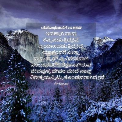 Picture 04 - 1 ತಿಮೊಥೆಯನಿಗೆ 4:10 KANIRV - ಇದಕ್ಕಾಗಿ ನಾವು - Bible Verse Picture