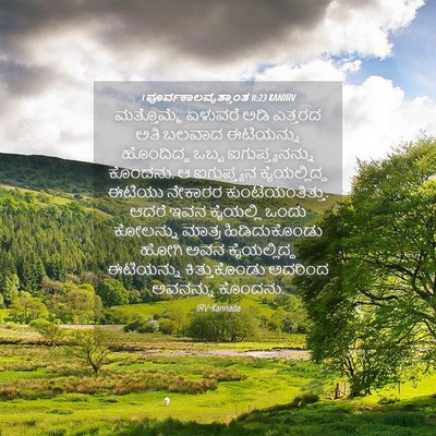 Picture 04 - 1 ಪೂರ್ವಕಾಲವೃತ್ತಾಂತ 11:23 KANIRV - ಮತ್ತೊಮ್ಮೆ ಏಳುವರೆ - Bible Verse Picture