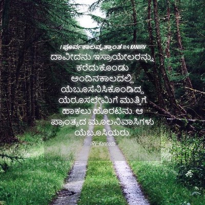 Picture 04 - 1 ಪೂರ್ವಕಾಲವೃತ್ತಾಂತ 11:4 KANIRV - ದಾವೀದನು - Bible Verse Picture