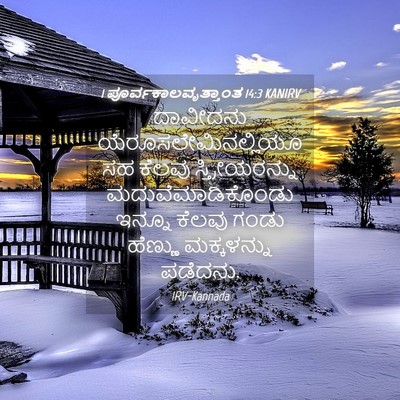 Picture 04 - 1 ಪೂರ್ವಕಾಲವೃತ್ತಾಂತ 14:3 KANIRV - ದಾವೀದನು - Bible Verse Picture