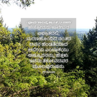 Picture 04 - 1 ಪೂರ್ವಕಾಲವೃತ್ತಾಂತ 2:24 KANIRV - ಹೆಚ್ರೋನನು ಕಾಲೇಬನ - Bible Verse Picture