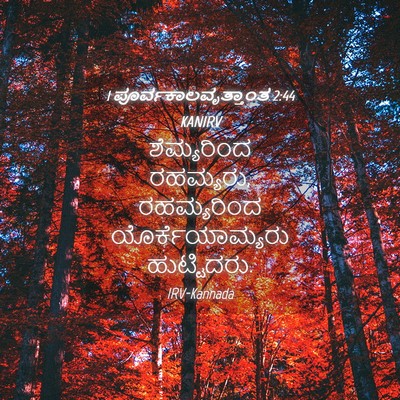 Picture 04 - 1 ಪೂರ್ವಕಾಲವೃತ್ತಾಂತ 2:44 KANIRV - ಶೆಮ್ಯರಿಂದ - Bible Verse Picture