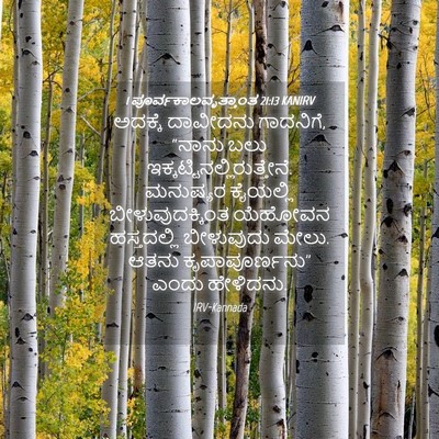Picture 04 - 1 ಪೂರ್ವಕಾಲವೃತ್ತಾಂತ 21:13 KANIRV - ಅದಕ್ಕೆ ದಾವೀದನು - Bible Verse Picture