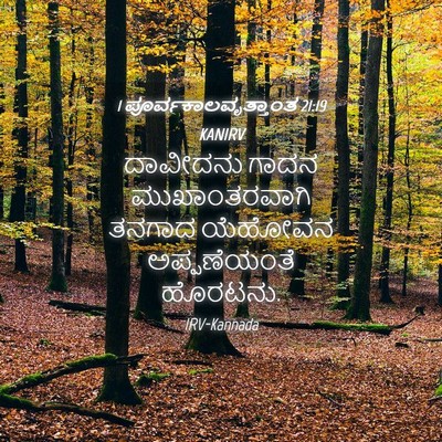 Picture 04 - 1 ಪೂರ್ವಕಾಲವೃತ್ತಾಂತ 21:19 KANIRV - ದಾವೀದನು ಗಾದನ - Bible Verse Picture