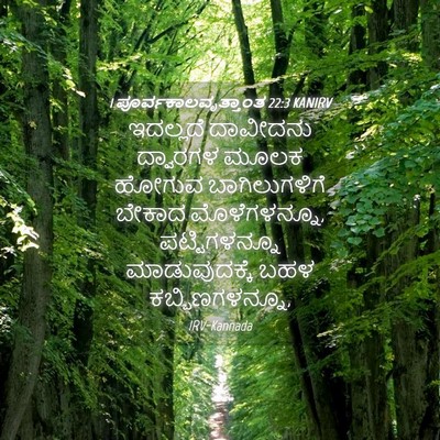 Picture 04 - 1 ಪೂರ್ವಕಾಲವೃತ್ತಾಂತ 22:3 KANIRV - ಇದಲ್ಲದೆ ದಾವೀದನು - Bible Verse Picture