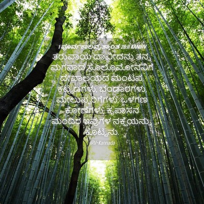 Picture 04 - 1 ಪೂರ್ವಕಾಲವೃತ್ತಾಂತ 28:11 KANIRV - ತರುವಾಯ ದಾವೀದನು - Bible Verse Picture