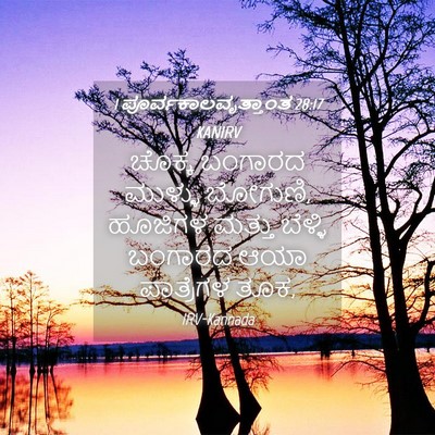 Picture 04 - 1 ಪೂರ್ವಕಾಲವೃತ್ತಾಂತ 28:17 KANIRV - ಚೊಕ್ಕ ಬಂಗಾರದ - Bible Verse Picture