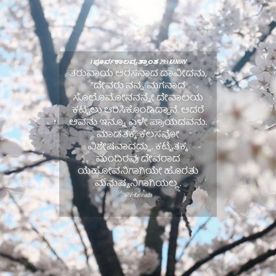 Picture 04 - 1 ಪೂರ್ವಕಾಲವೃತ್ತಾಂತ 29:1 KANIRV - ತರುವಾಯ ಅರಸನಾದ - Bible Verse Picture