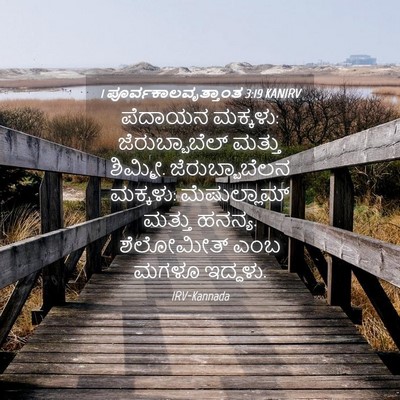 Picture 04 - 1 ಪೂರ್ವಕಾಲವೃತ್ತಾಂತ 3:19 KANIRV - ಪೆದಾಯನ ಮಕ್ಕಳು: - Bible Verse Picture