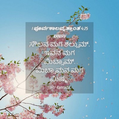 Picture 04 - 1 ಪೂರ್ವಕಾಲವೃತ್ತಾಂತ 4:25 KANIRV - ಸೌಲನ ಮಗ ಶಲ್ಲುಮ್. - Bible Verse Picture